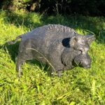 IRENA ARMUTIDISOVA Wildschwein