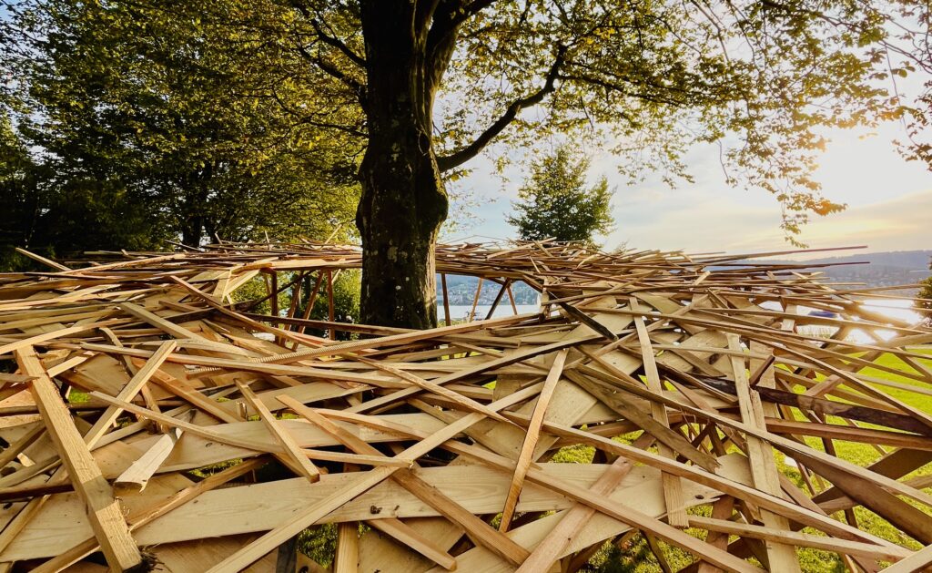 AGATA SLAMOVA / HUGODAVID WIRTH